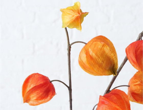 Искусственная ветка РЫЖИЙ ФИЗАЛИС, пластик, 90 см