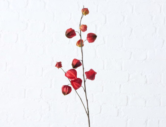 Искусственная ветка КРАСНЫЙ ФИЗАЛИС, пластик, 90 см