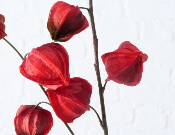 Искусственная ветка КРАСНЫЙ ФИЗАЛИС, пластик, 90 см