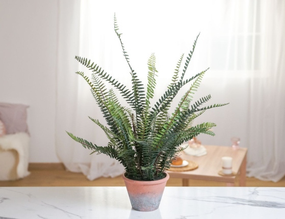 Искусственное растение в горшке ПАПОРОТНИК ВИНДЕКС, пластик, 60 см