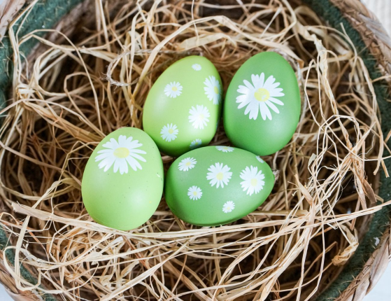 Набор подвесных пасхальных украшений МАРГАРИТКИ, натуральная скорлупа, 6 см, 4 шт.