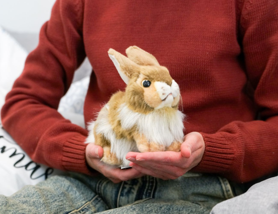 Мягкая игрушка КРОЛИК, 23 см