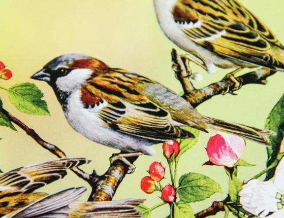 Объемная картинка Воробьи на ветке