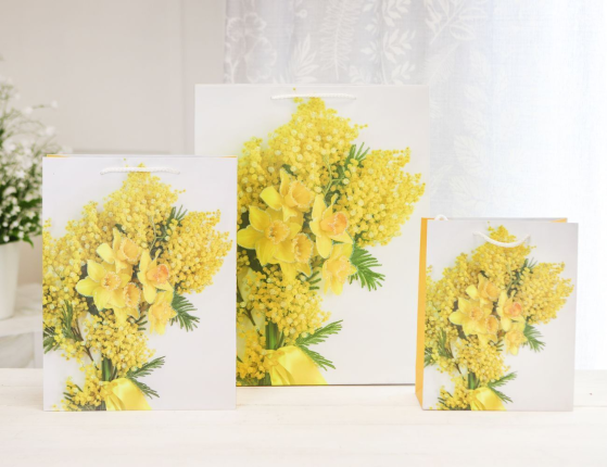 Подарочный пакет СОЛНЕЧНЫЙ БУКЕТ, бумага, 25х20 см