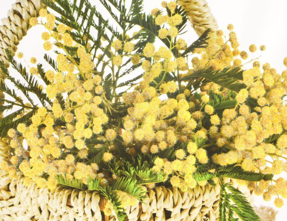 Подарочный пакет КОРЗИНКА МИМОЗЫ, бумага, 25х20 см