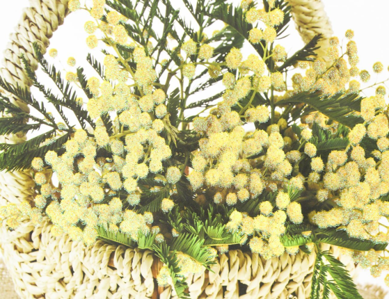 Подарочный пакет КОРЗИНКА МИМОЗЫ, бумага, 33х25 см