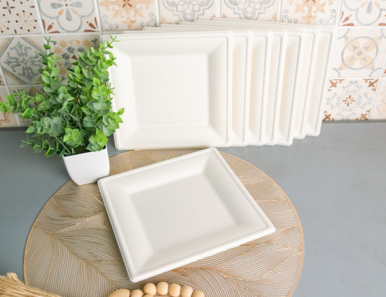 Набор одноразовых тарелок ВЭЙД, биоразлагаемый материал багасса, 20 см, 8 шт.