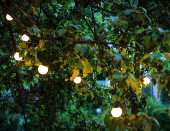 Электрогирлянда МОЛОЧНЫЕ ШАРЫ, 20 тёплых белых LED-огней, 9.5+3 м, черный провод, уличная