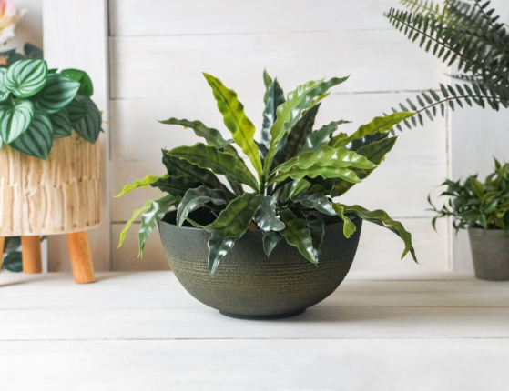 Кашпо-чаша ДЖЕЛЛ, 12х25 см