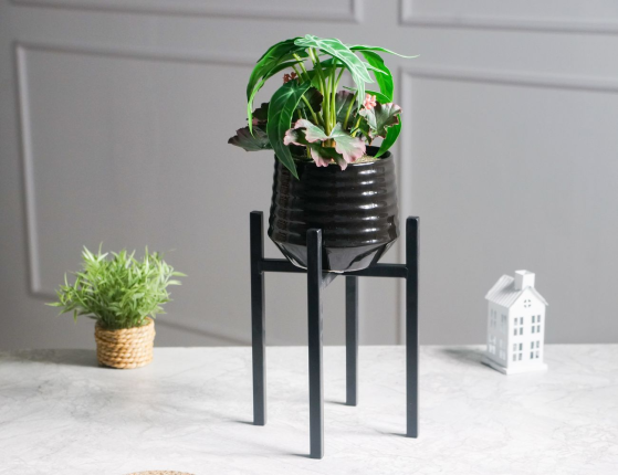 Подставка для кашпо АСКОТ, металл, чёрная, 16.5х16.5х25 см