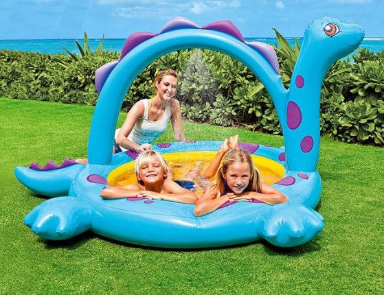   Intex   , 229165117 ,  3 