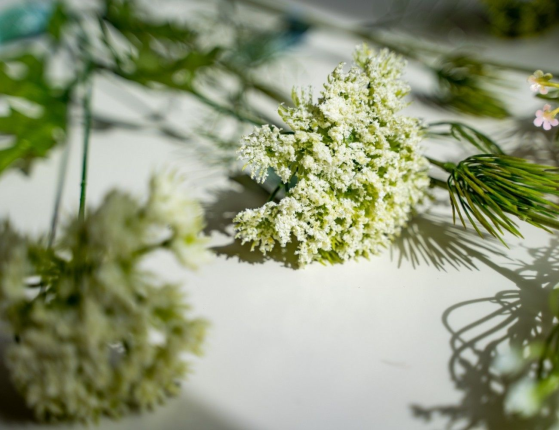 Декоративная ветка КРУЖЕВО КОРОЛЕВЫ АННЫ, искусственные полевые цветы, пластик, белые, 60 см