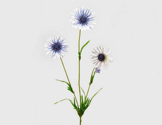 Декоративная ветка-цветок СКАБИОЗА ГОЛУБАЯ, 65 см