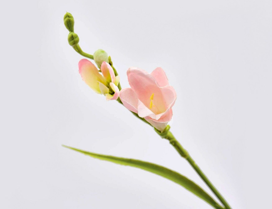 Декоративная ветка-цветок ФРЕЗИЯ РОЗОВАЯ, 65 см